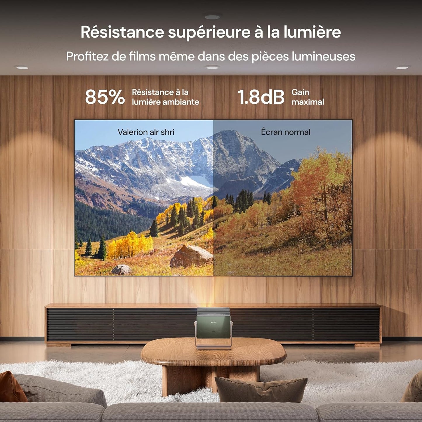 Écran Valerion Fresnel Anti-lumière ambiante 100"/120"