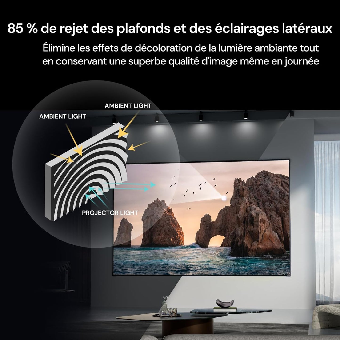 Écran Valerion Fresnel Anti-lumière ambiante 100"/120"