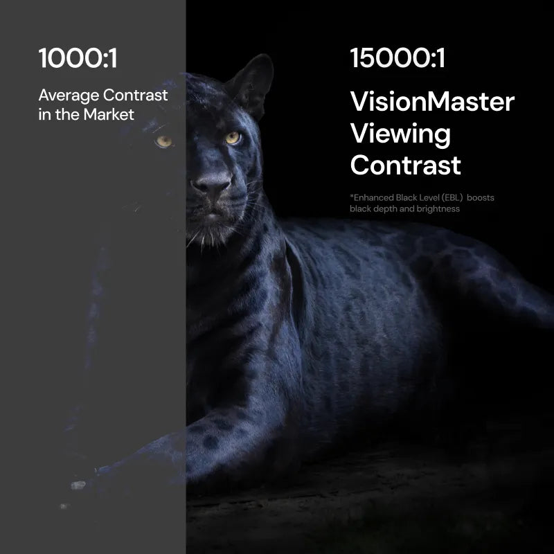 VisionMaster Pro2 + Support + Écran PureVision Motorisé