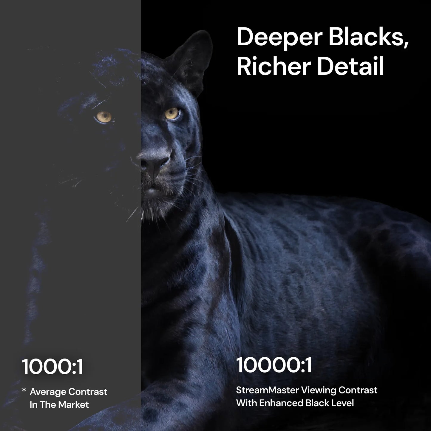 StreamMaster Plus2 + Écran motorisé déroulant Valerion