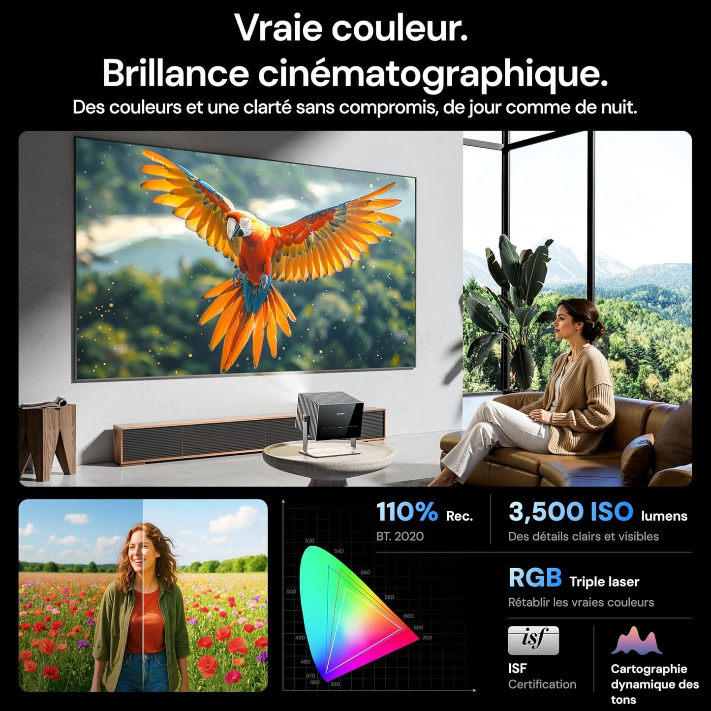 VisionMaster Max + Support + Écran Motorisé Déroulant 120" + Lunettes 3D Gratuits (2 paires)